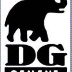 dg cement