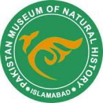 national musuem of pak